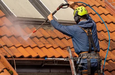 Démoussage et hydrofuge de toiture à Vert